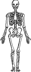 memento mori